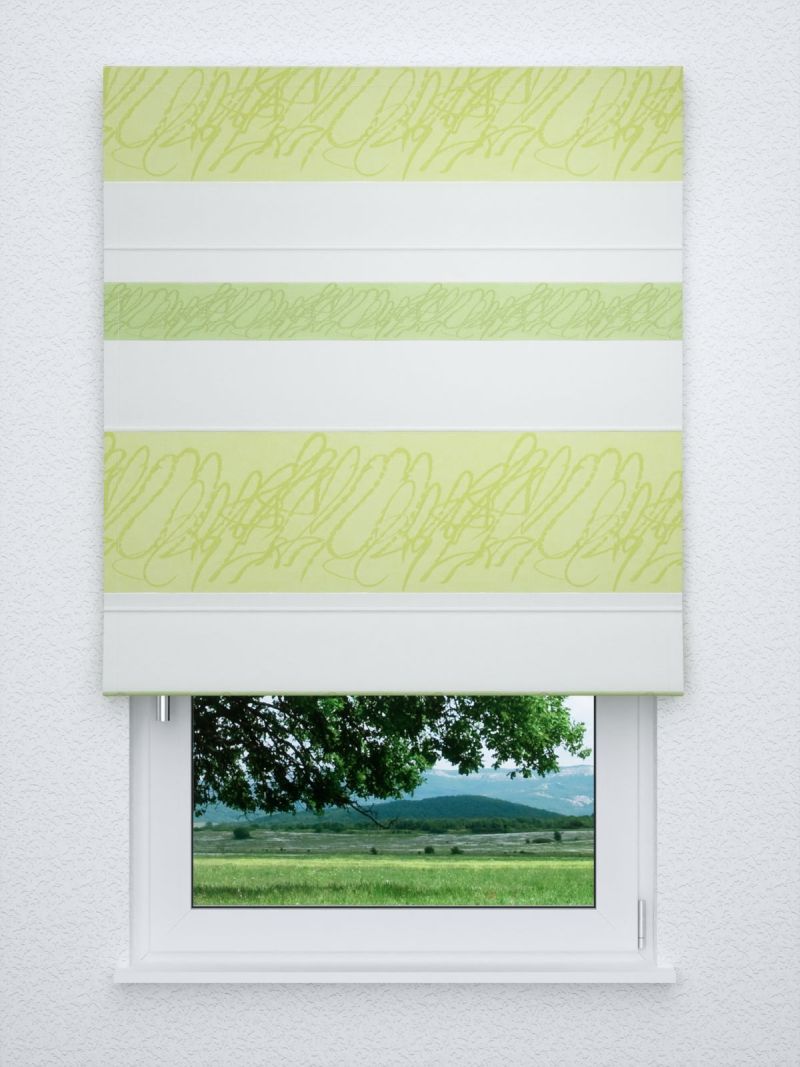 Raffrollo classic in grün