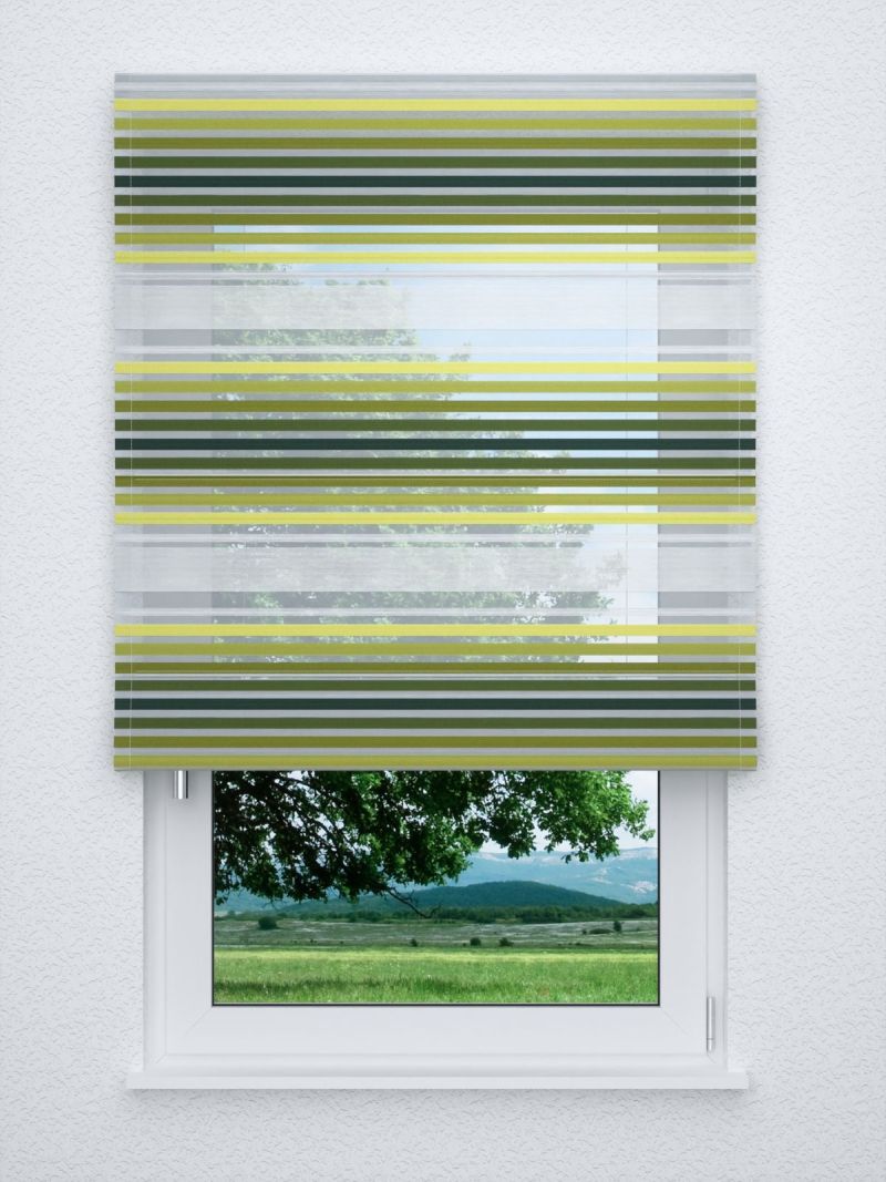 Raffrollo classic in grün