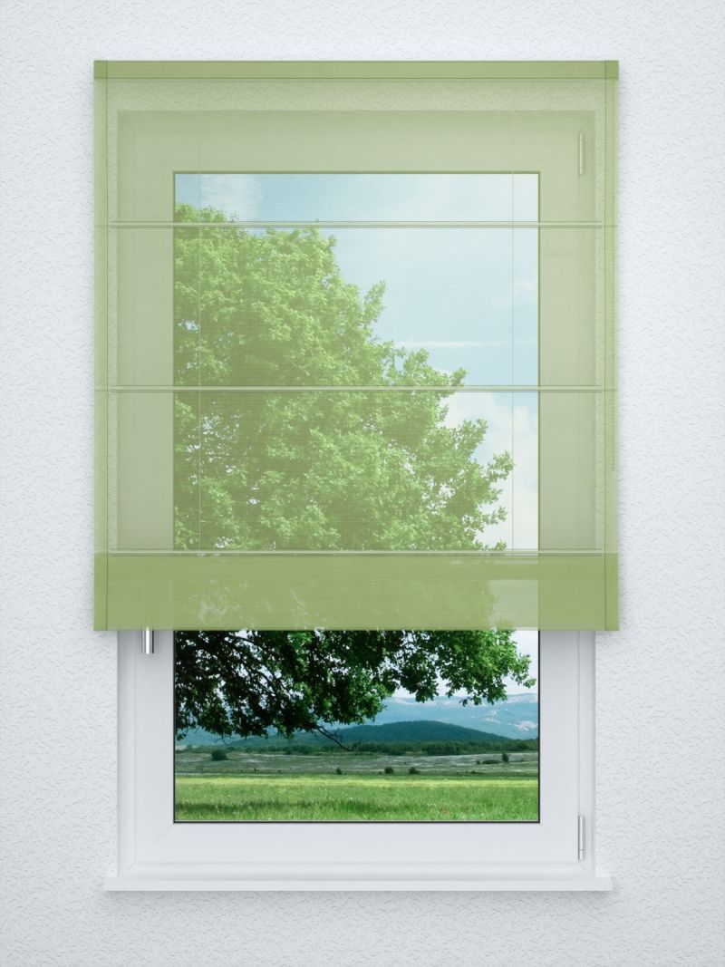 Raffrollo classic in Grün