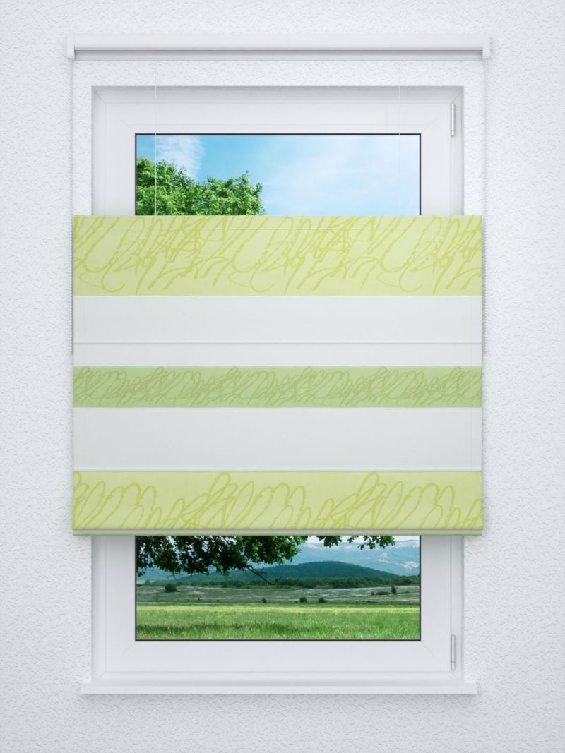 Raffrollo professional in grün