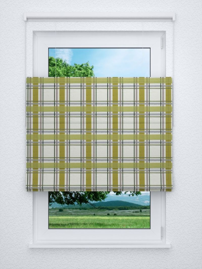 Raffrollo professional in grün