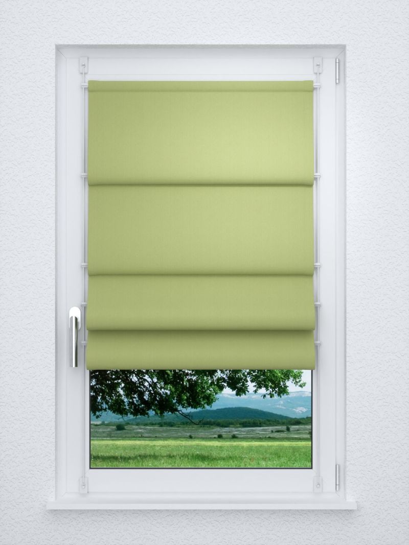Raffrollo smart in Grün