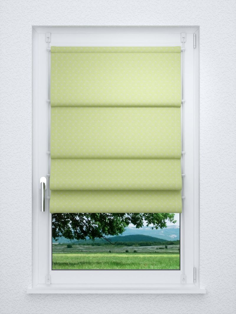 Raffrollo smart in grün