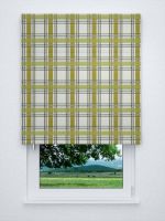 Raffrollo classic in grün