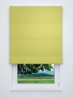 Raffrollo classic in Grün