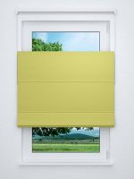 Raffrollo professional in Grün