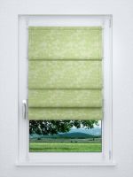 Raffrollo smart in grün