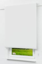 Lysel Outlet - Basisrollo Tageslicht Reinweiß
