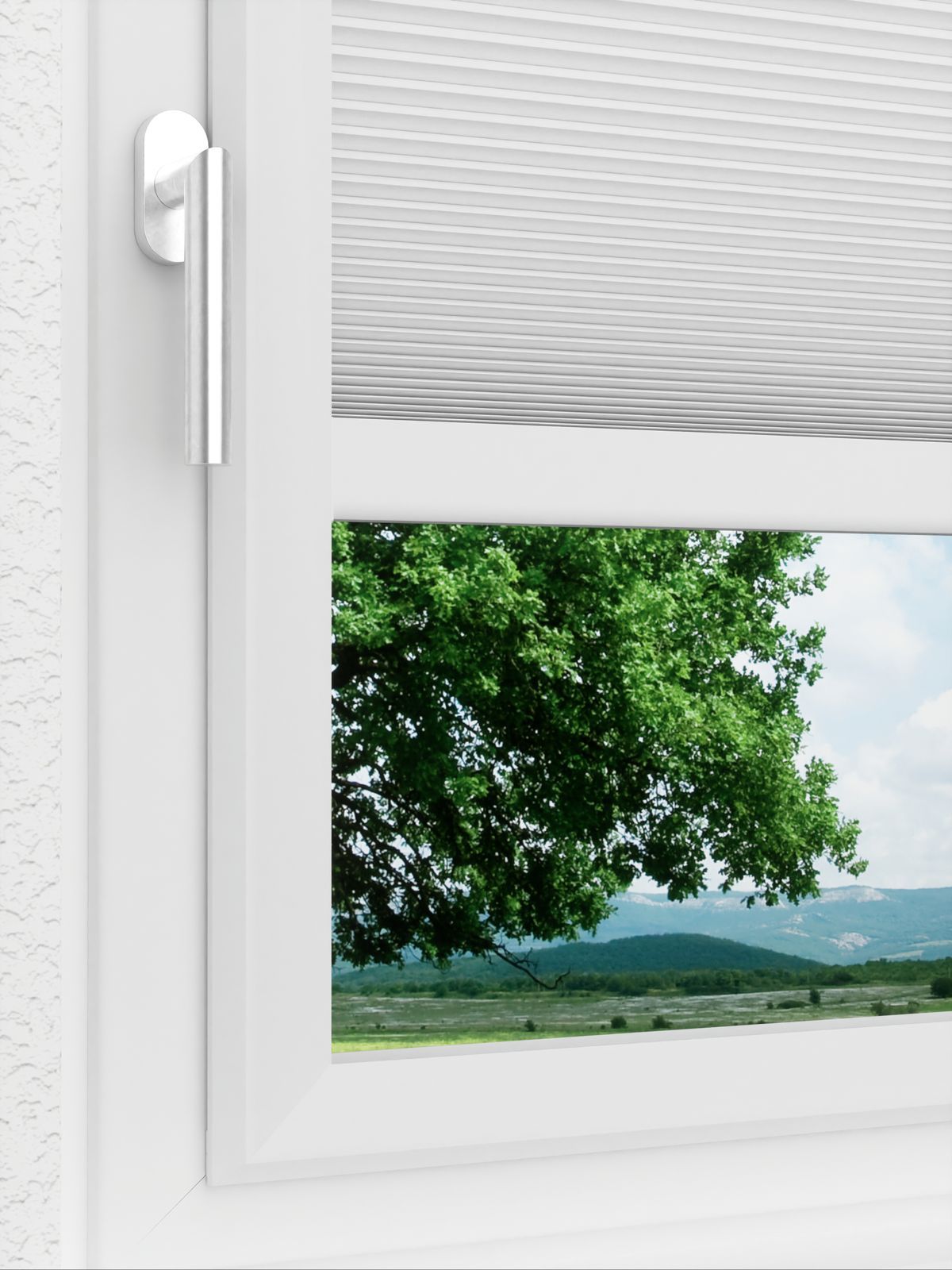 Detailansicht LYSEL HOME Plissee 004A Alba LI Wabe