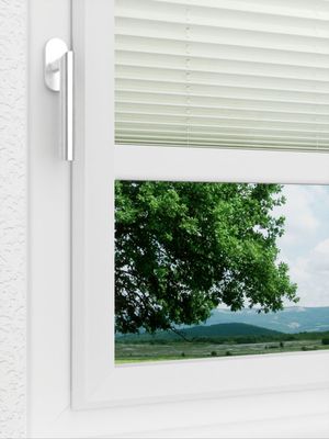 Preview LYSEL HOME Plissee 132A Aralia 3