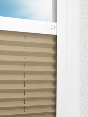 Preview LYSEL HOME Plissee 234A Aralia 2