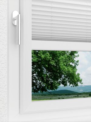 Preview LYSEL HOME Plissee 209A Aralia Pearl 3