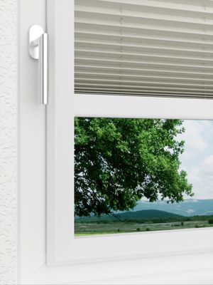 Preview LYSEL HOME Plissee 212A Aralia Pearl 3