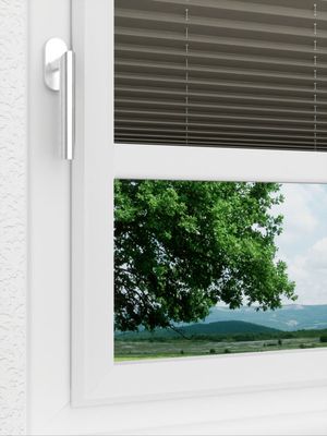 Preview LYSEL HOME Plissee 221A Pinus BO 3