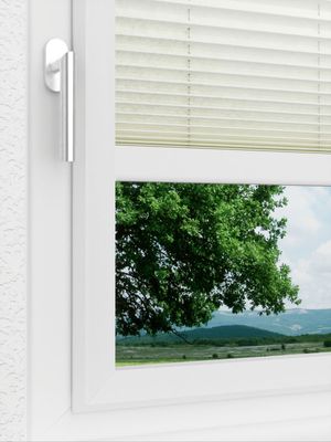 Preview LYSEL HOME Plissee 227A Arum 3