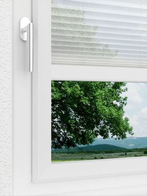 Preview LYSEL HOME Plissee 118A Calluna 3