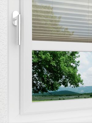 Preview LYSEL HOME Plissee 110A Calluna 3