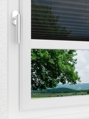 Preview LYSEL HOME Plissee 139A Calluna 3