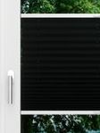 LYSEL HOME Plissee 240A Aralia Pearl Fensteransicht