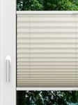 LYSEL HOME Plissee 122A Pinus BO Fensteransicht