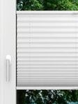 LYSEL HOME Plissee 209B Aralia Pearl Fensteransicht