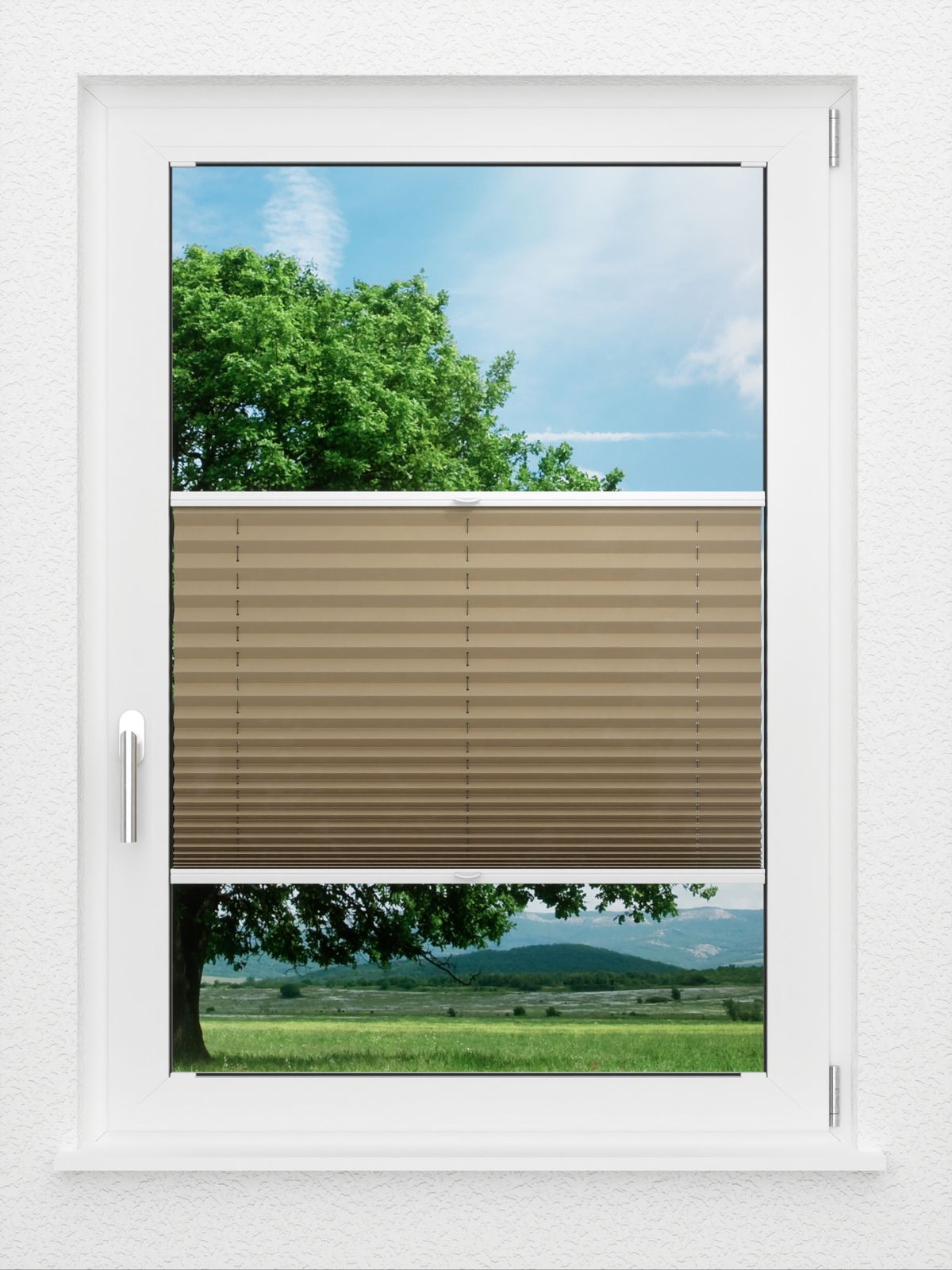 Detailansicht LYSEL HOME Plissee 234A Aralia