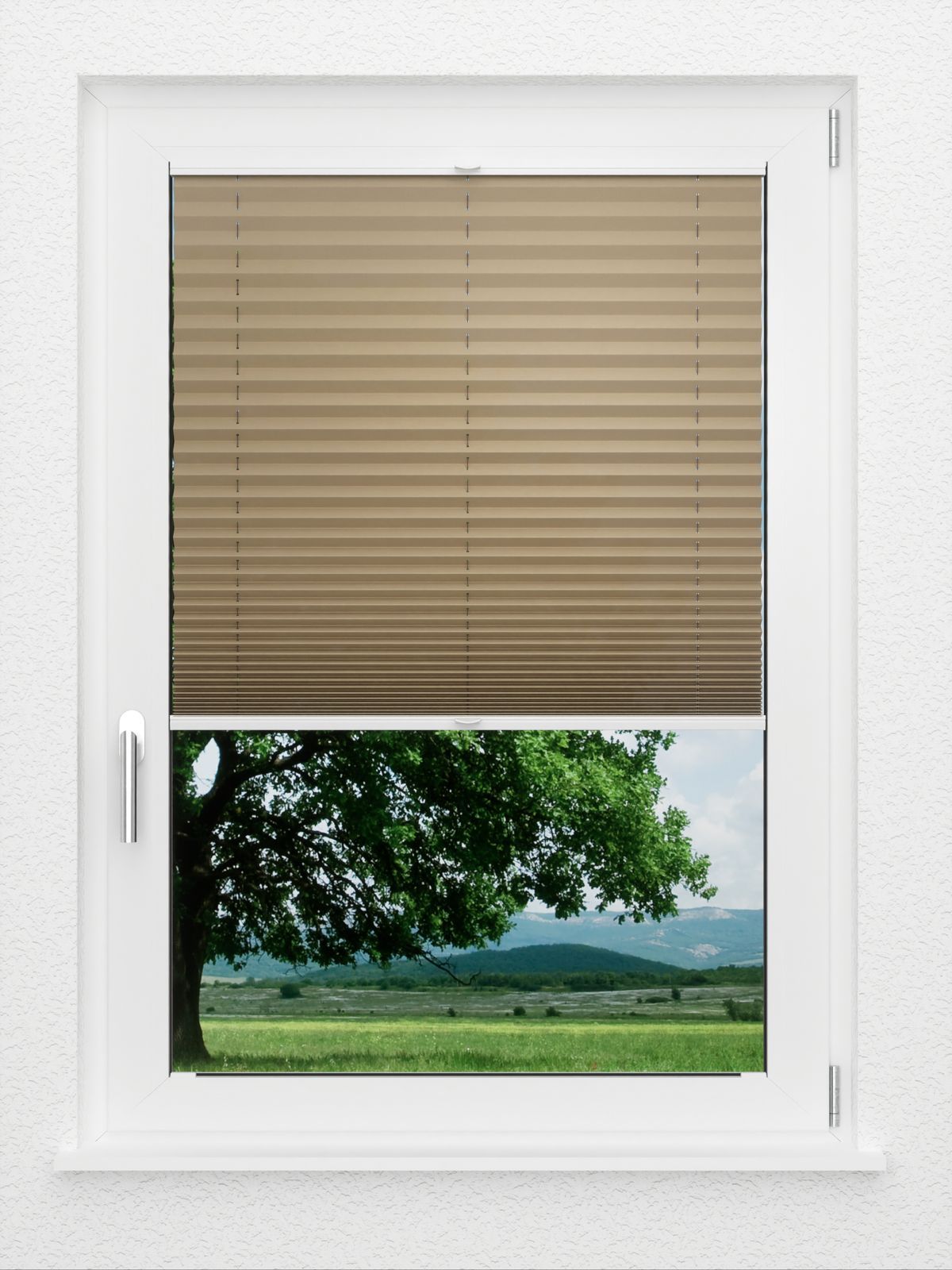 Detailansicht LYSEL HOME Plissee 234A Aralia