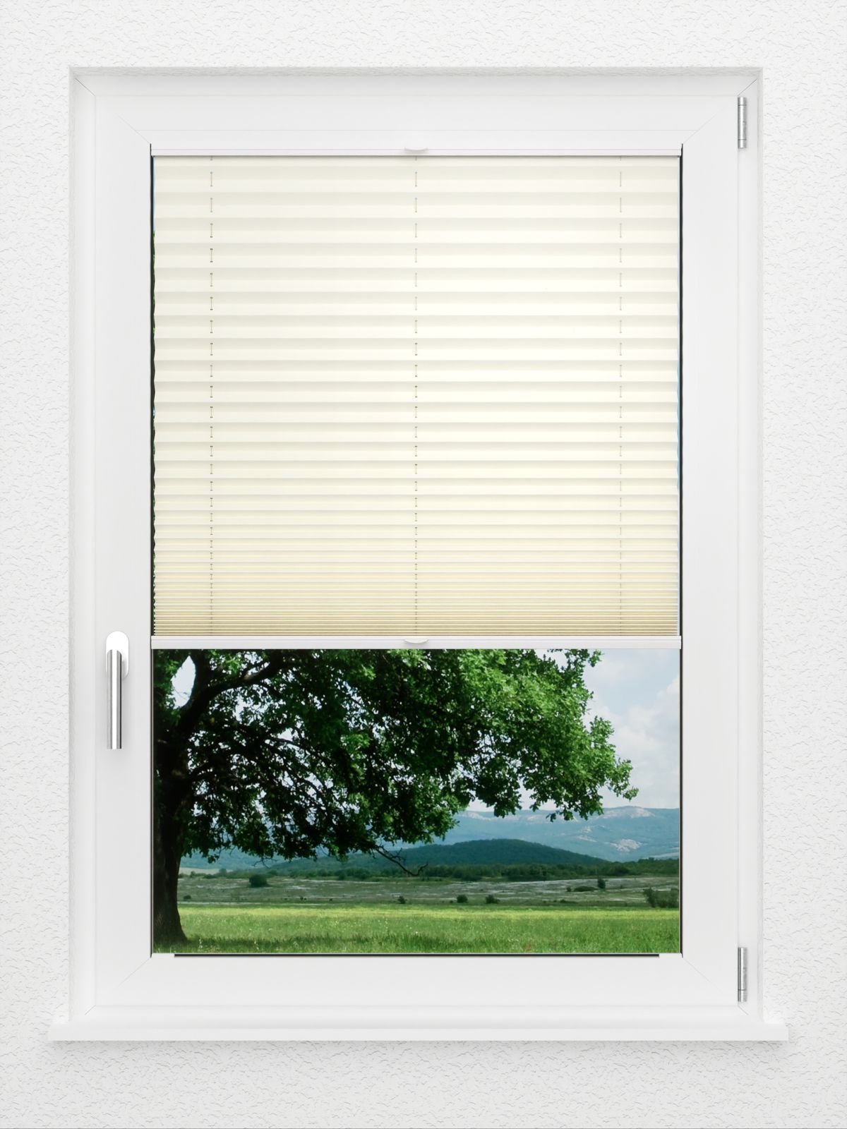 Detailansicht LYSEL HOME Plissee 101A Aralia Pearl