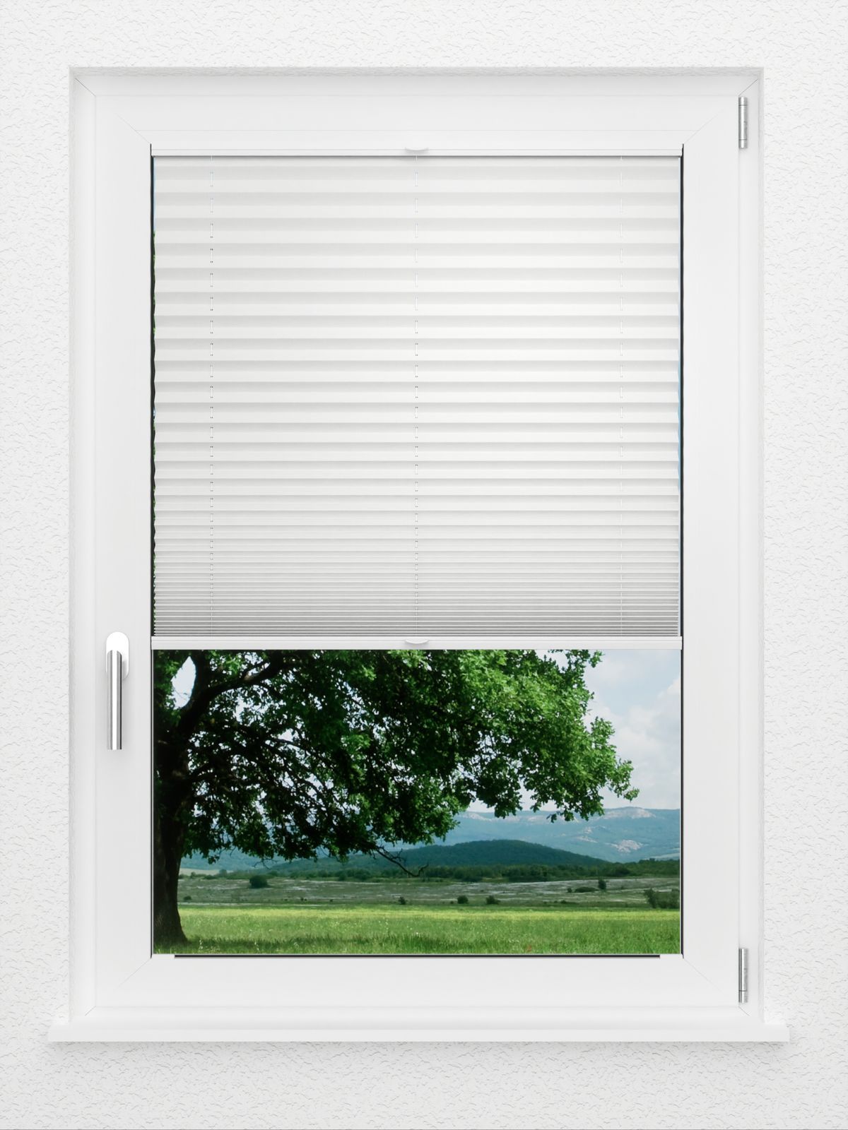 Detailansicht LYSEL HOME Plissee 121A Pinus BO
