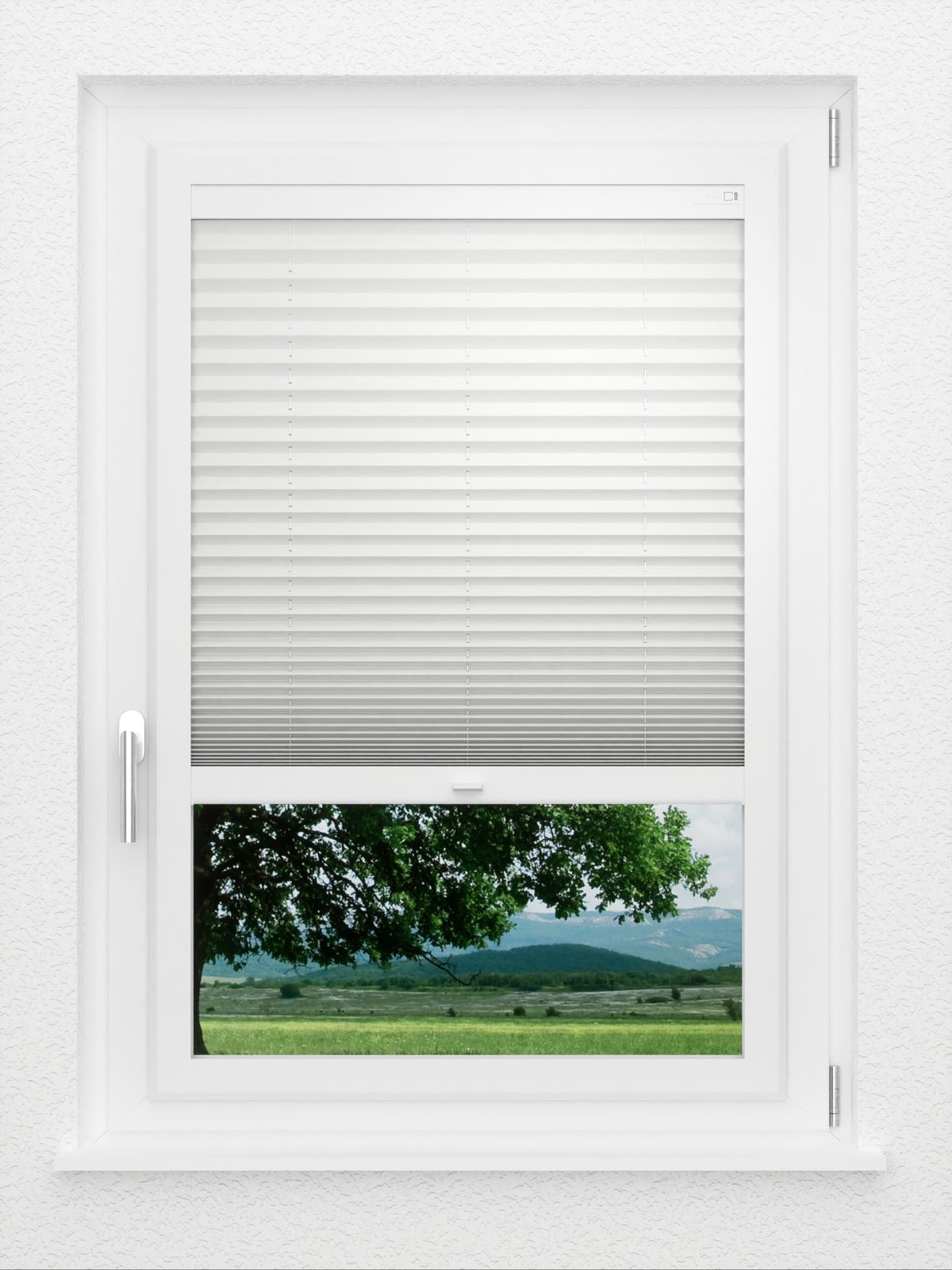 Detailansicht LYSEL HOME Plissee 121A Pinus BO