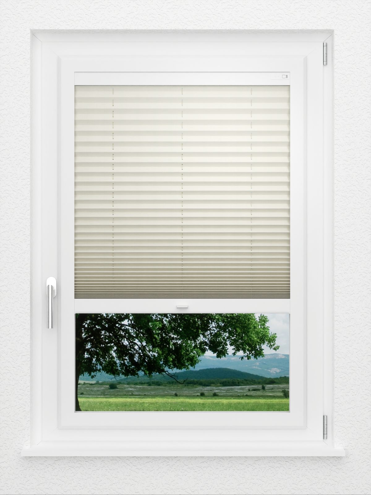 Detailansicht LYSEL HOME Plissee 122A Pinus BO