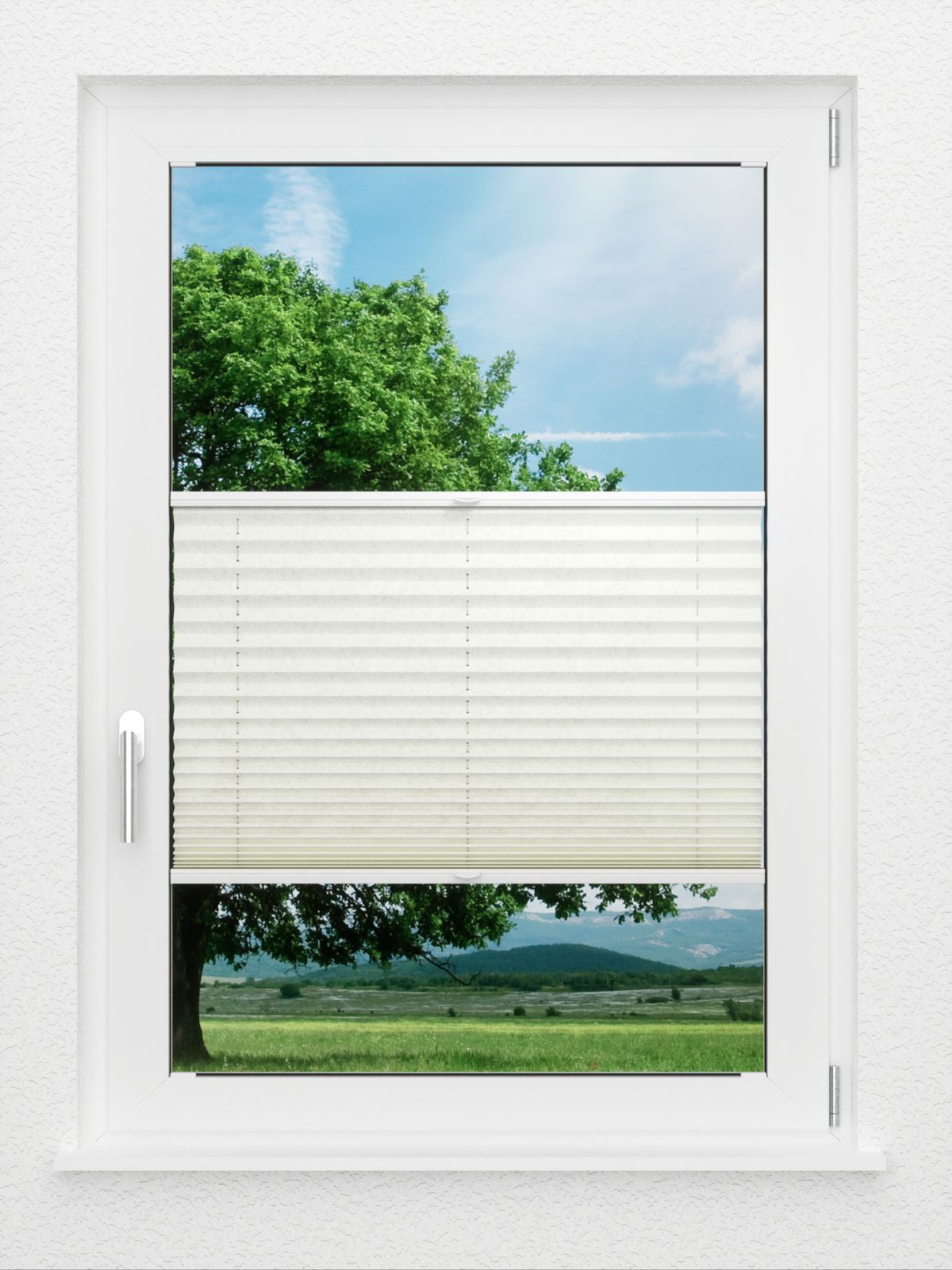 Detailansicht LYSEL HOME Plissee 227A Arum