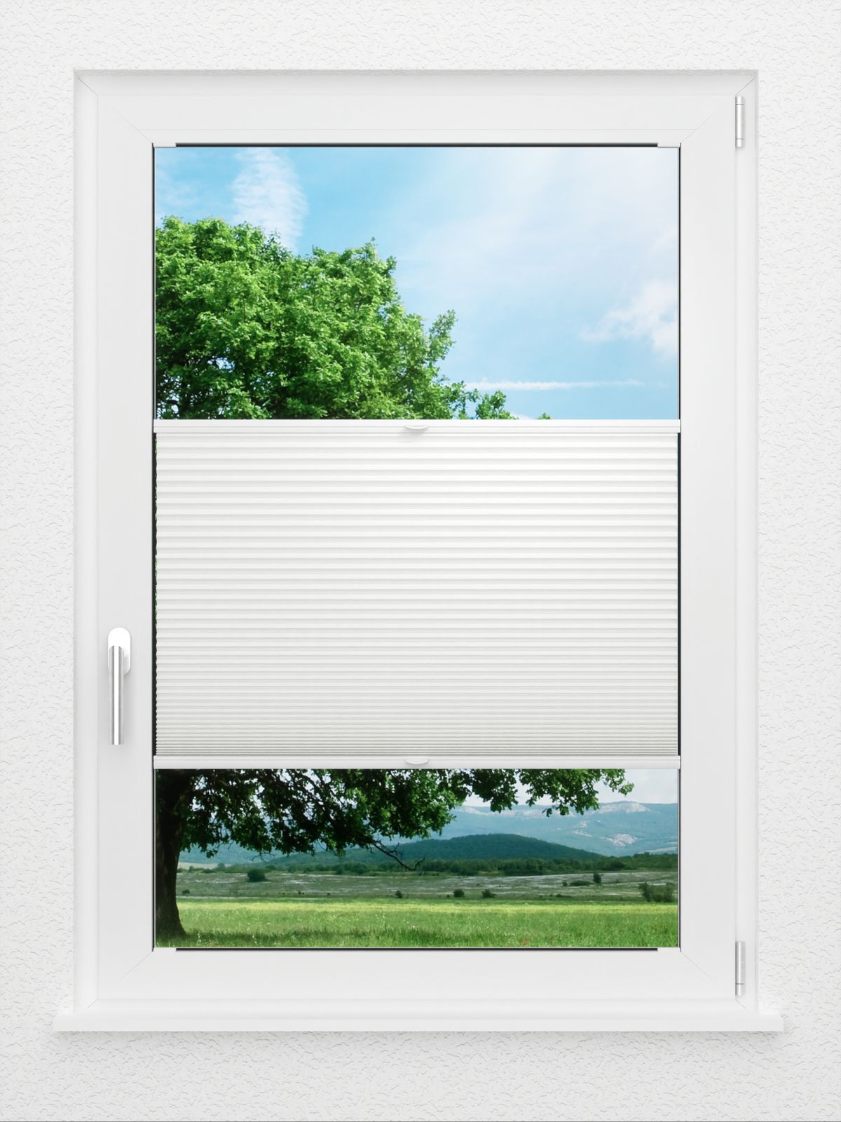 Detailansicht LYSEL HOME Plissee 005A Nana BO Wabe