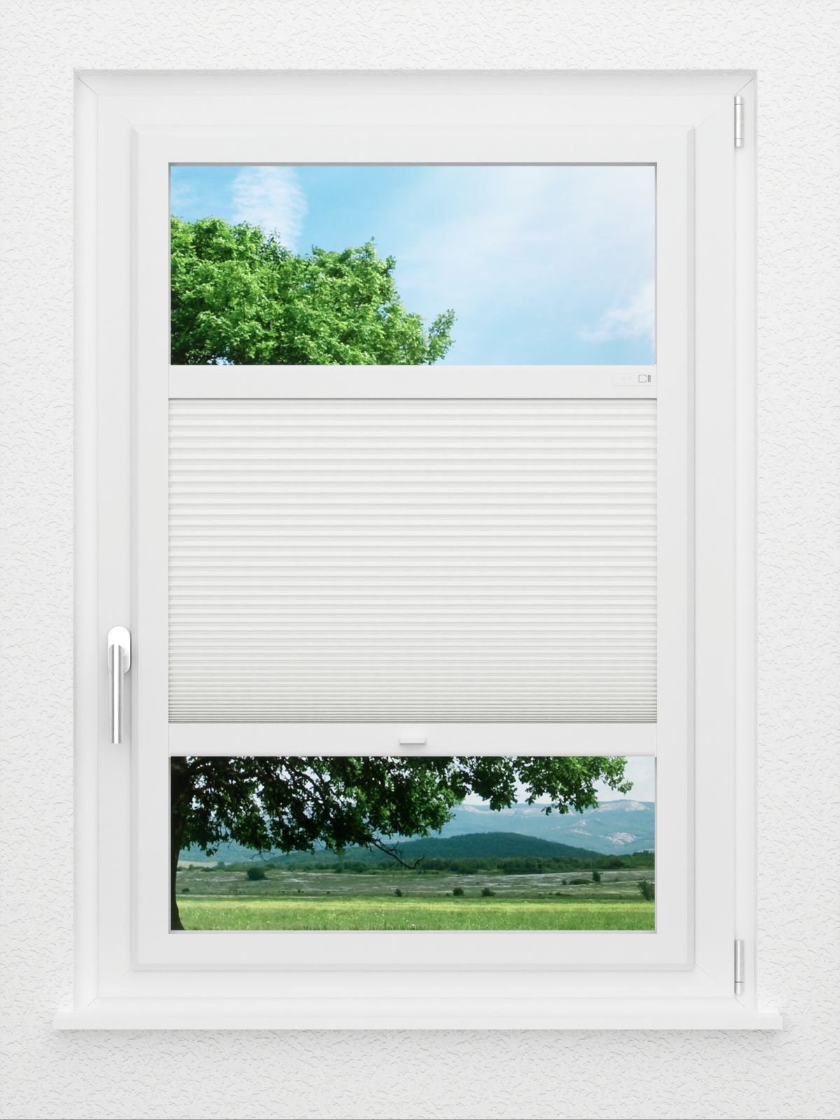 Detailansicht LYSEL HOME Plissee 005A Nana BO Wabe