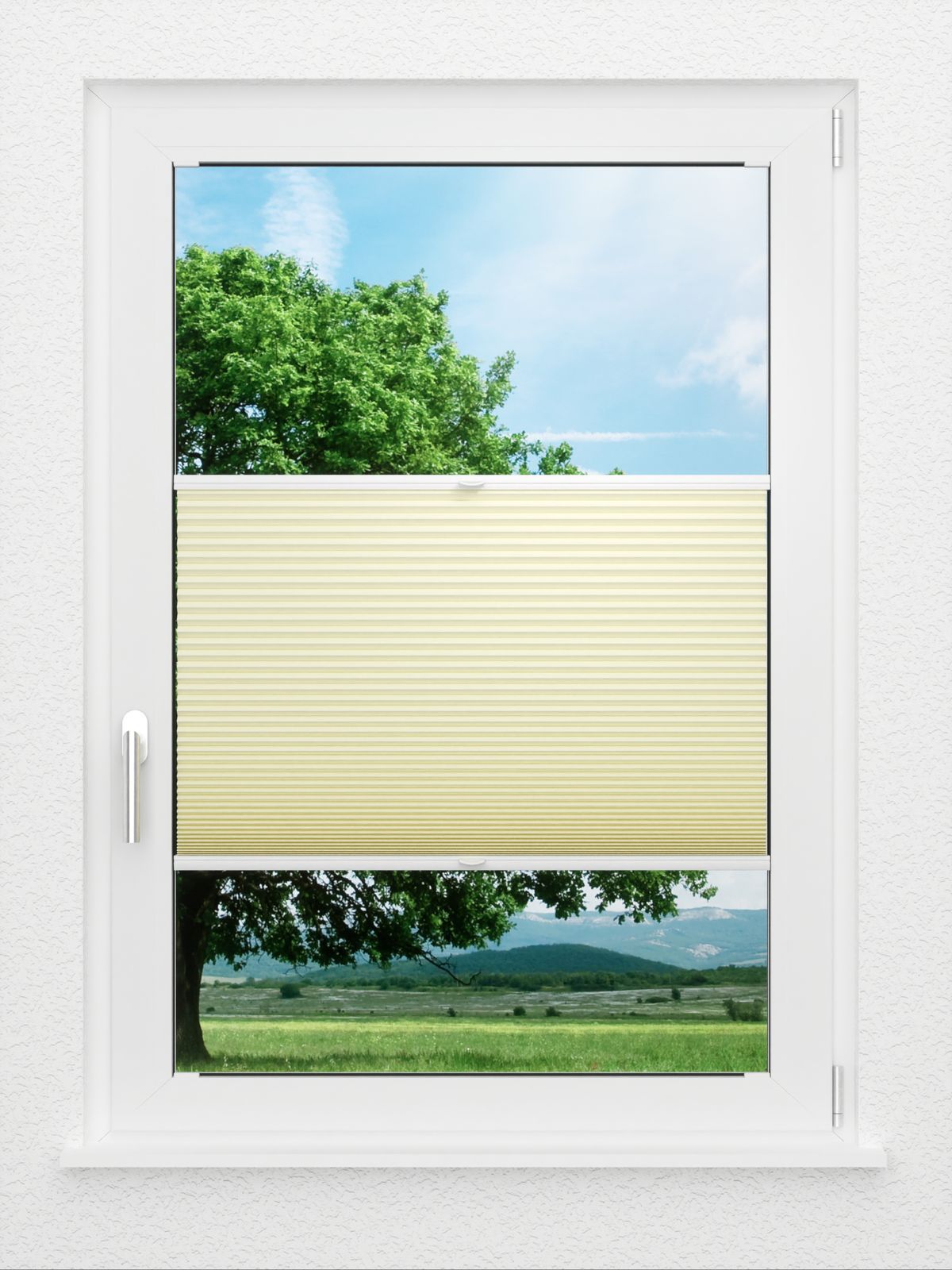 Detailansicht LYSEL HOME Plissee 016A Nana BO Wabe