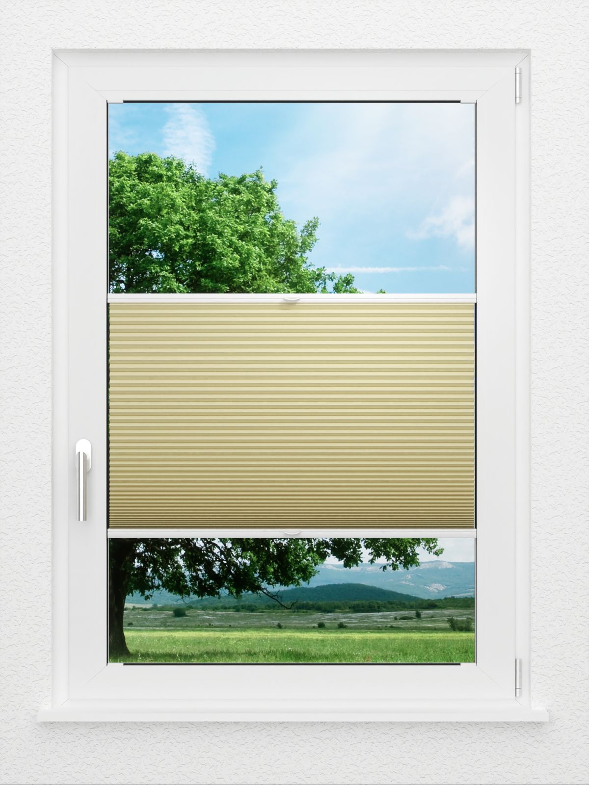 Detailansicht LYSEL HOME Plissee 025A Nana BO Wabe