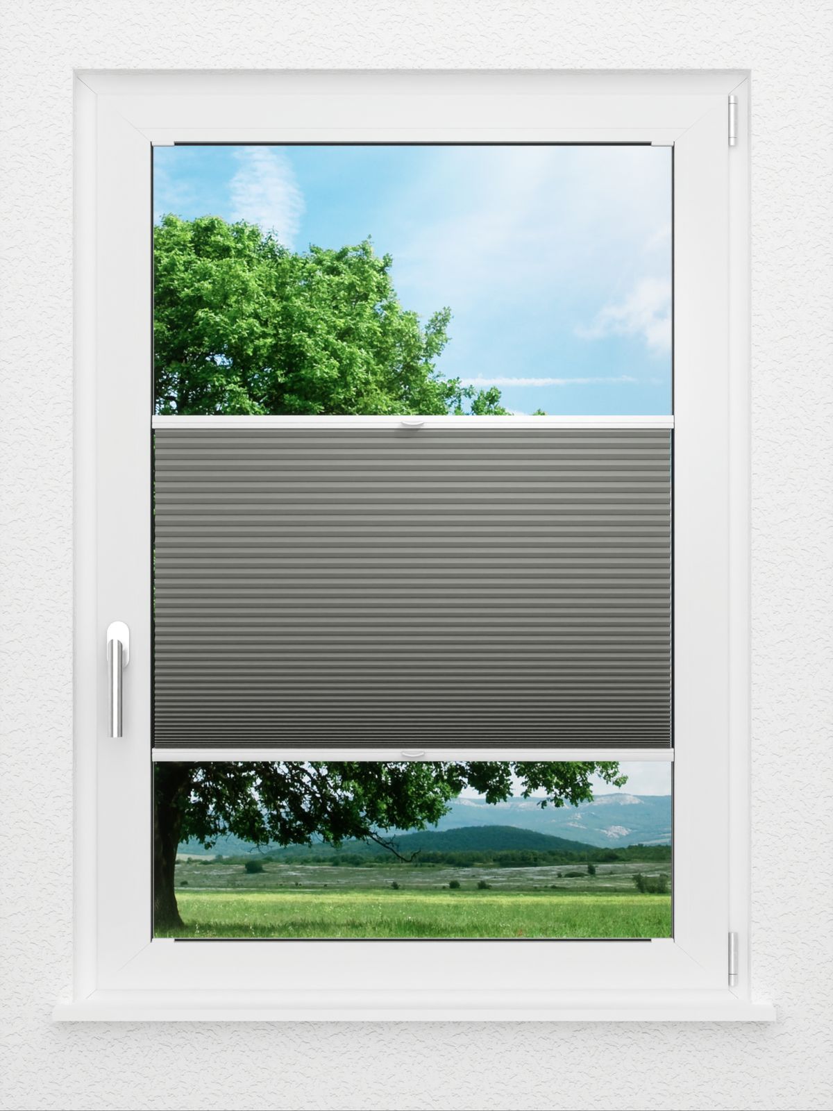 Detailansicht LYSEL HOME Plissee 002A Nana BO Wabe