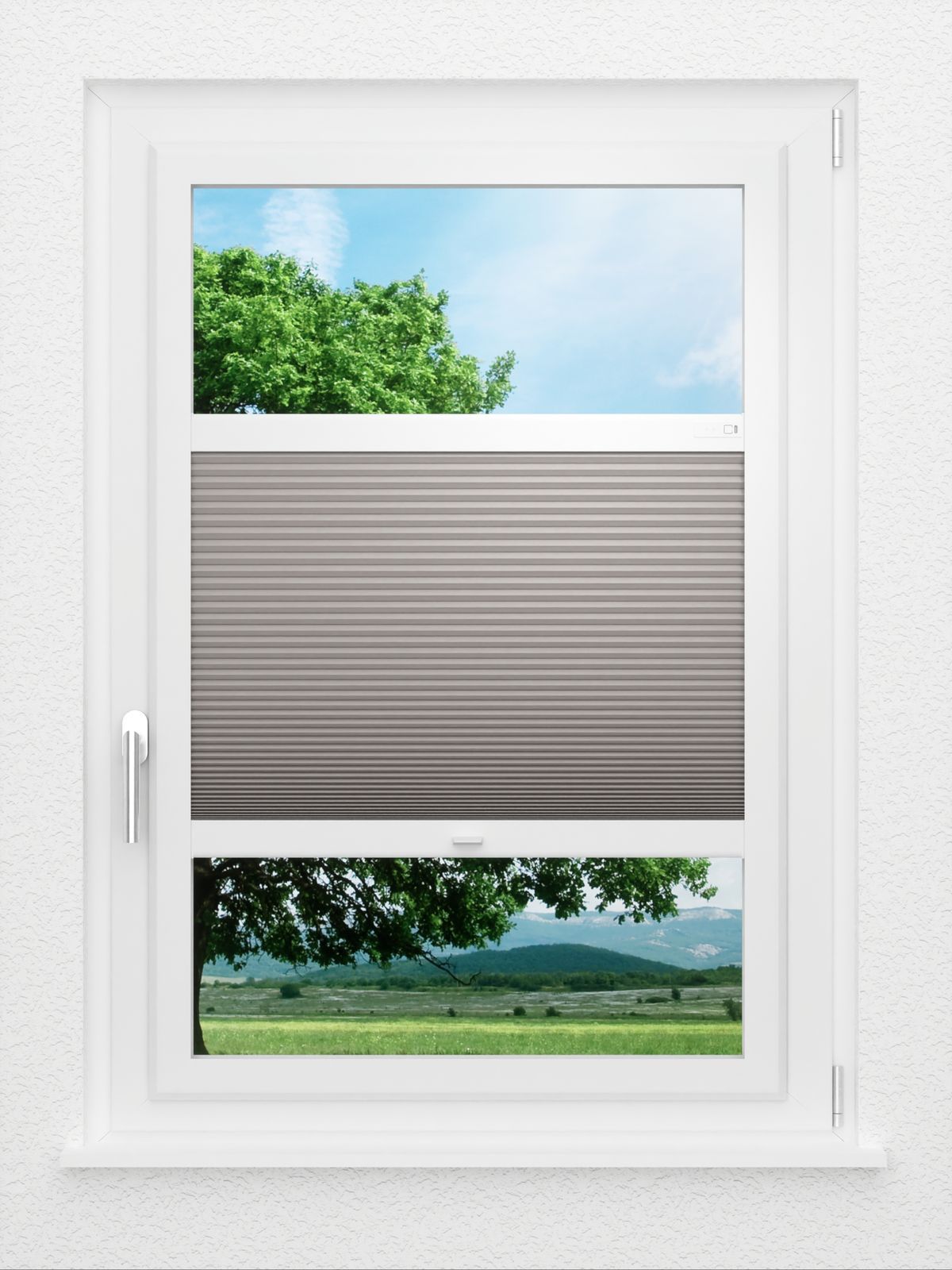 Detailansicht LYSEL HOME Plissee 038A Alba LI Wabe
