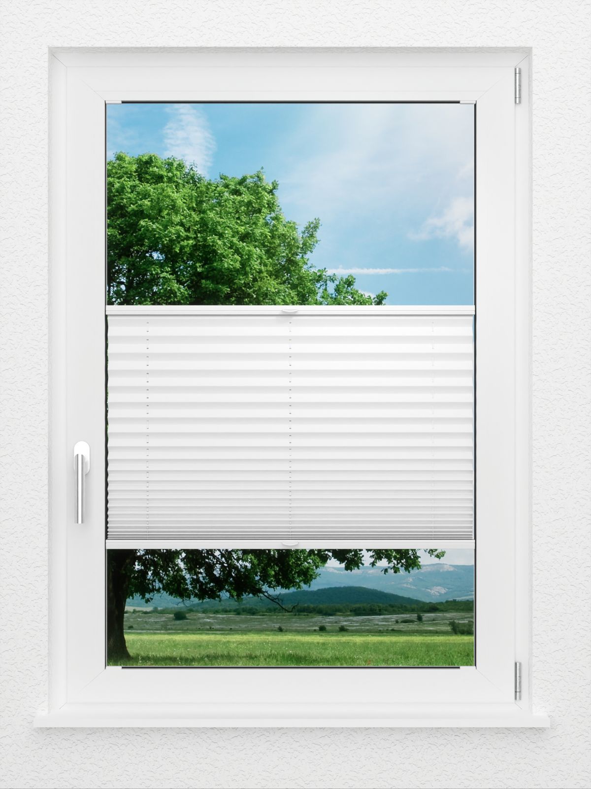 Detailansicht LYSEL HOME Plissee 103B Aralia BO