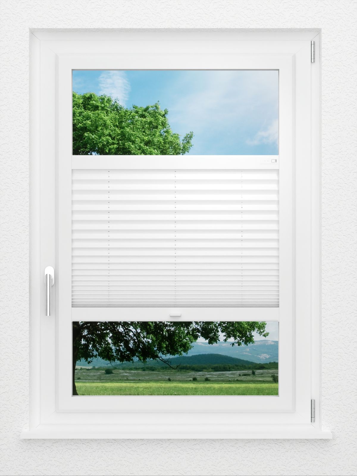 Detailansicht LYSEL HOME Plissee 103B Aralia BO