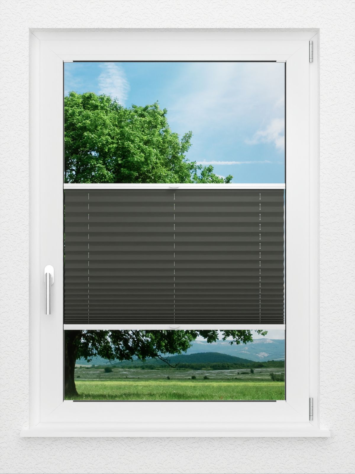 Detailansicht LYSEL HOME Plissee 202B Aralia BO