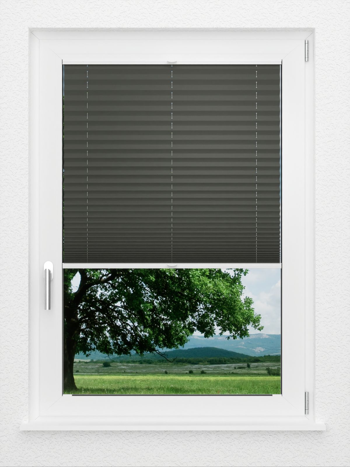 Detailansicht LYSEL HOME Plissee 202B Aralia BO