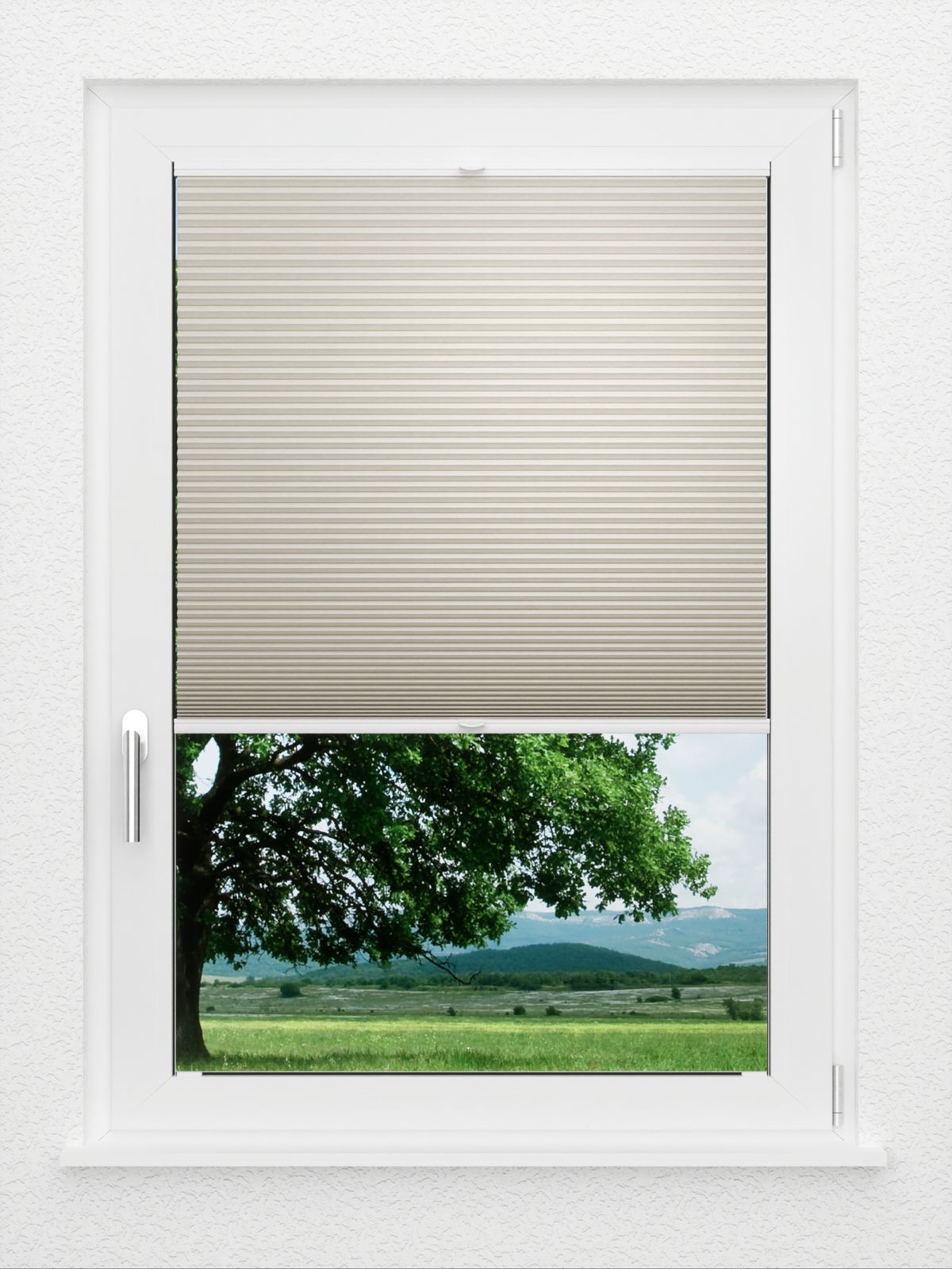 Detailansicht LYSEL HOME Plissee 009A Calluna Wabe