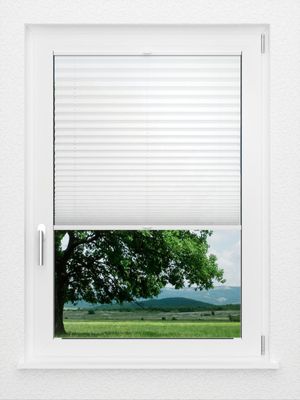 Preview LYSEL HOME Plissee 205A Aralia 1