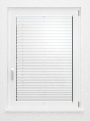 Preview LYSEL HOME Plissee 205A Aralia 2