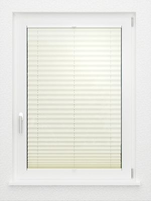 Preview LYSEL HOME Plissee 207A Aralia 2