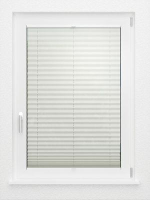 Preview LYSEL HOME Plissee 206A Aralia 2