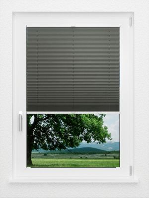 Preview LYSEL HOME Plissee 208A Aralia 1