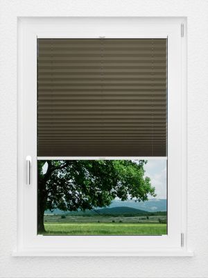 Preview LYSEL HOME Plissee 236A Aralia 1