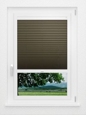 Preview LYSEL HOME Plissee 236A Aralia 1